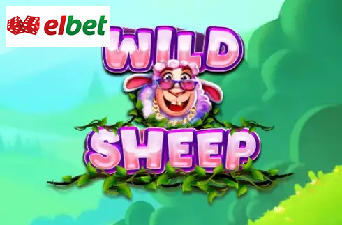 Wild Sheep